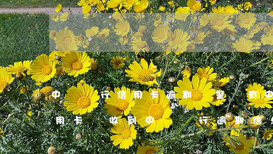 中國銀行信用卡逾期報警(沒有中國銀行的信用卡 卻收到中國銀行逾期信息)