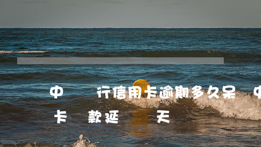 中國銀行信用卡逾期多久呆賬(中國銀行信用卡還款 延遲幾天)