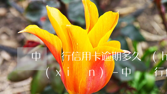 中國銀行信用卡逾期多久會(huì)有危險(xiǎn)-中國銀行 信用卡 逾期