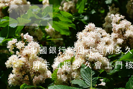 中國銀行信用卡逾期多久會上門(中國銀行信用卡逾期多久會上門核實)