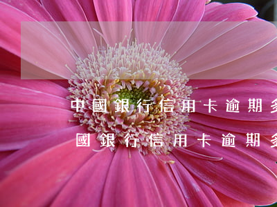 中國銀行信用卡逾期多久會有不良記錄-中國銀行信用卡逾期多久會有不良記錄