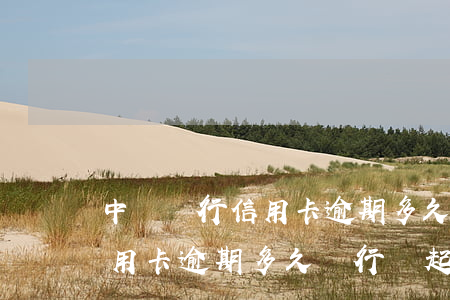 中國銀行信用卡逾期多久會起訴-貸款跟信用卡逾期多久,銀行會起訴