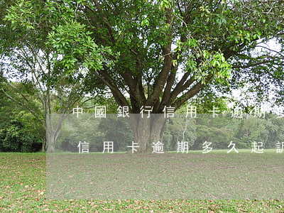 中國銀行信用卡逾期多久起訴銀行(中國銀行信用卡逾期多久起訴銀行)