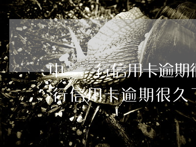中國銀行信用卡逾期很久了怎么辦-中國銀行信用卡逾期很久了怎么辦理