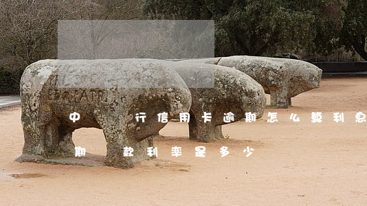 中國銀行信用卡逾期怎么算利息(中國銀行逾期貸款利率是多少)