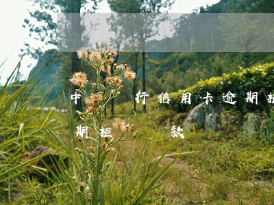 中國銀行信用卡逾期柜臺(中國銀行信用卡逾期柜臺還款)