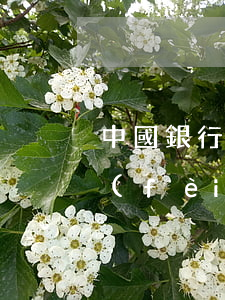 中國銀行信用卡逾期短信警告民生(中銀消費(fèi)短信說信用卡逾期)