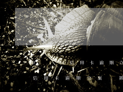 中國銀行信用卡逾期立案會抓人嗎(中國銀行信用卡逾期立案會抓人嗎)