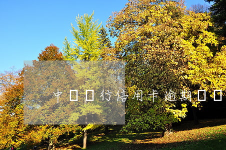 中國銀行信用卡逾期糾紛