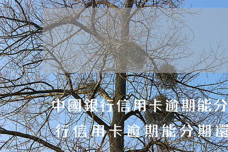 中國銀行信用卡逾期能分期還款嗎-中國銀行信用卡逾期能分期還款嗎