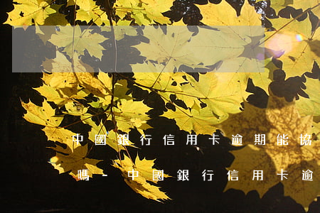 中國銀行信用卡逾期能協(xié)商分期嗎-中國銀行信用卡逾期能協(xié)商分期嗎