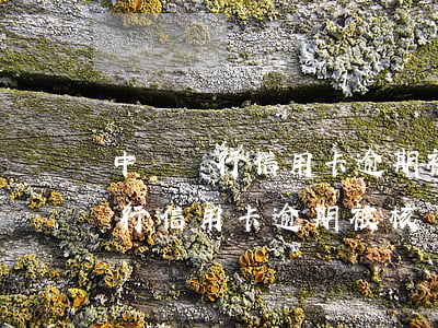 中國銀行信用卡逾期被核銷怎么辦-中國銀行信用卡逾期被核銷怎么辦理
