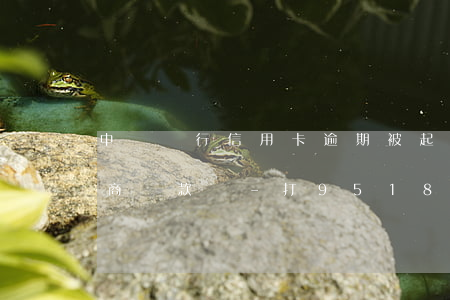 中國銀行信用卡逾期被起訴能協(xié)商還款嗎-打95188轉(zhuǎn)2協(xié)商逾期的事情