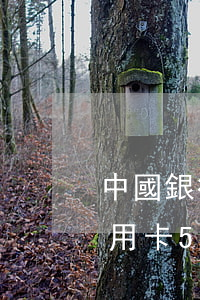 中國銀行信用卡逾期費(fèi)怎么算(信用卡5000逾期費(fèi)用怎么算)