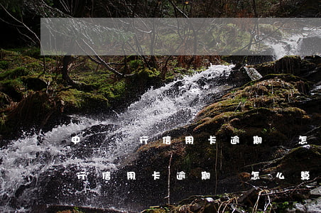 中國銀行信用卡逾期費怎么算利息-中國銀行信用卡逾期費怎么算利息的