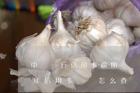 中國銀行信用卡逾期賬單怎么查詢 2017年信用卡賬單怎么查