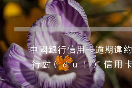 中國銀行信用卡逾期違約金能少嘛-中國銀行對(duì)信用卡逾期的處理