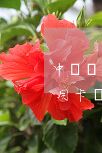 中國銀行信用卡逾期違約金能少嘛(為什么信用卡違約金那么高)