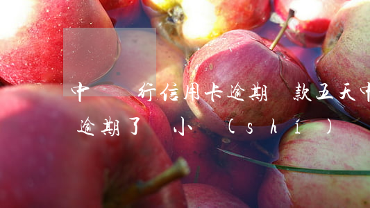中國銀行信用卡逾期還款五天 中國銀行還款逾期了幾小時(shí)