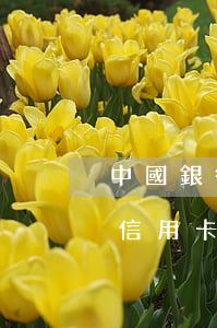 中國銀行信用卡還款日逾期計算-中國銀行信用卡還款日逾期計算方法