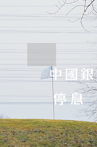 中國銀行停息掛賬規(guī)則 中國銀行停息掛賬規(guī)則最新