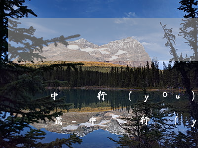 中國銀行優(yōu)客分期怎么查還款進度-中國銀行優(yōu)客分期怎么查還款進度查詢