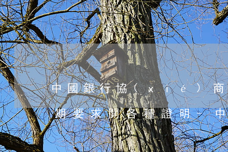中國銀行協(xié)商個(gè)性化分期要求開各種證明-中國銀行協(xié)商個(gè)性化分期要求開各種證明