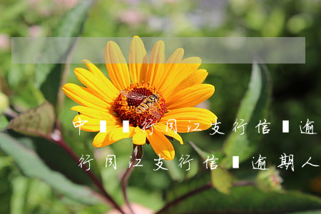 中國銀行同江支行信貸逾期人名單-中國銀行同江支行信貸逾期人名單查詢