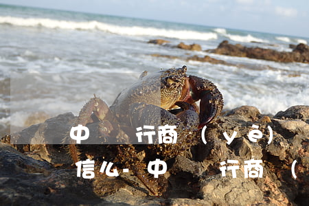 中國銀行商業(yè)貸款逾期一天會上征信么-中國銀行商業(yè)貸款逾期一天會上征信么