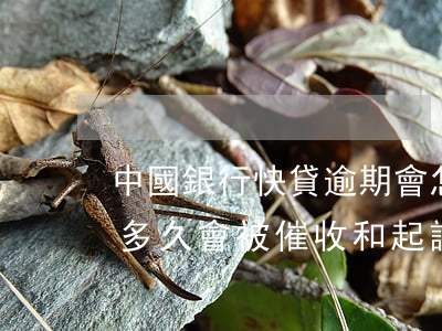 中國銀行快貸逾期會怎樣(中國銀行貸款逾期多久會被催收和起訴)