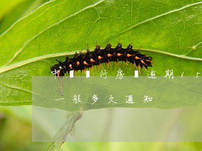 中國銀行房貸逾期15天(中國銀行房貸被拒一般多久通知)