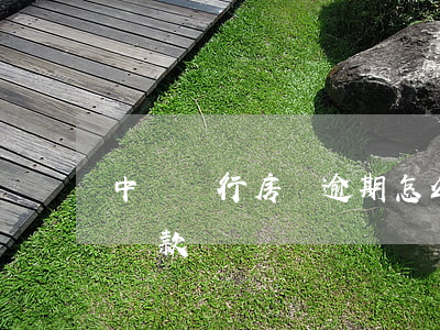中國銀行房貸逾期怎么查(中國銀行怎么查房貸款)