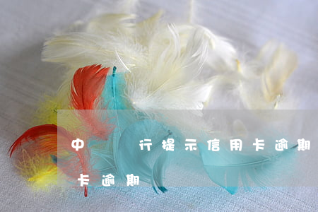 中國銀行提示信用卡逾期(中國銀行提示信用卡逾期)