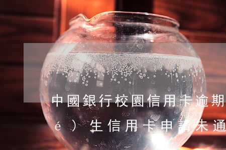 中國銀行校園信用卡逾期(中國銀行學(xué)生信用卡申請未通過審核)