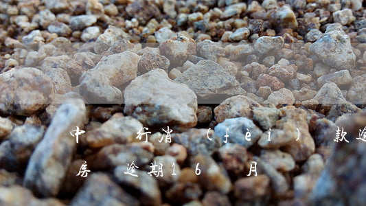 中國銀行消費(fèi)貸款逾期(中國銀行房貸逾期16個月)