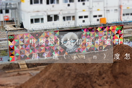 中國銀行的信用卡逾期記錄查詢(中國銀行信用卡進(jìn)度怎么查)