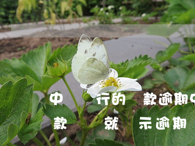 中國銀行的還款逾期(中國銀行房貸 沒有到還款時間 就顯示逾期)