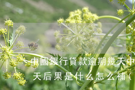 中國銀行貸款逾期幾天(中國銀行貸款逾期一天后果是什么,怎么補(bǔ)救)