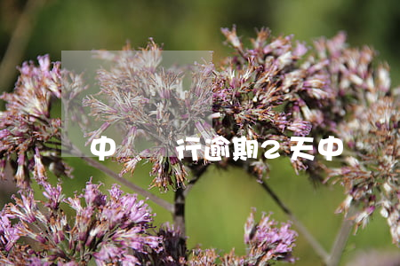 中國銀行逾期2天(中國銀行逾期2天)