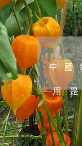 中國銀行逾期一天要多少錢(中國銀行逾期費用是多少)