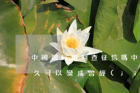 中國銀行逾期查征信嗎(中國銀行當前逾期多久可以變成曾經(jīng)逾期)