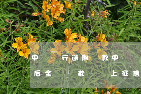中國銀行逾期還款(中國銀行逾期還款16天后全額還款還會上征信嗎)