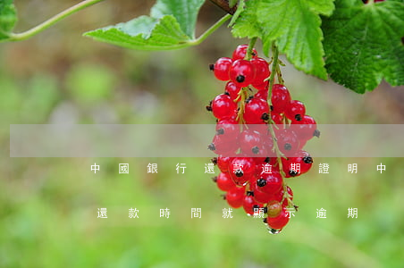中國銀行還款逾期證明(中國銀行房貸 沒有到還款時間 就顯示逾期)