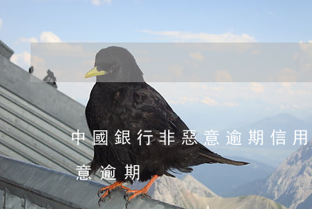 中國銀行非惡意逾期信用卡(什么叫信用卡惡意逾期)