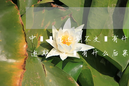 中國電信逾期不交費有什么后果-中國電信逾期不交費有什么后果呢