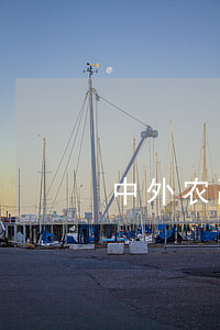 中外农副产品合作经营合同 中外农副产品合作经营合同
