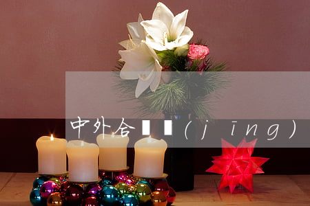 中外合資經(jīng)營合同格式