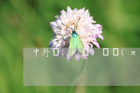 中外補(bǔ)償貿(mào)易合同