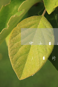 中大銀行信用卡逾期一天上征信 各個(gè)銀行逾期幾天上征信