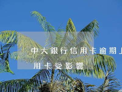 中大銀行信用卡逾期上征信了(逾期上征信信用卡受影響)